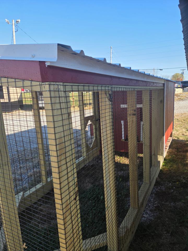 5x6 Lean to Chicken Coop with 10' run - photo 4